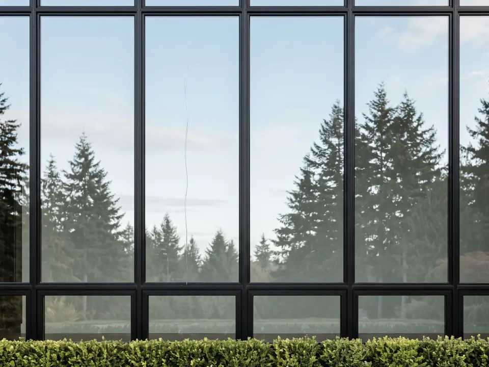 Streak-free window cleaning in Bellingham